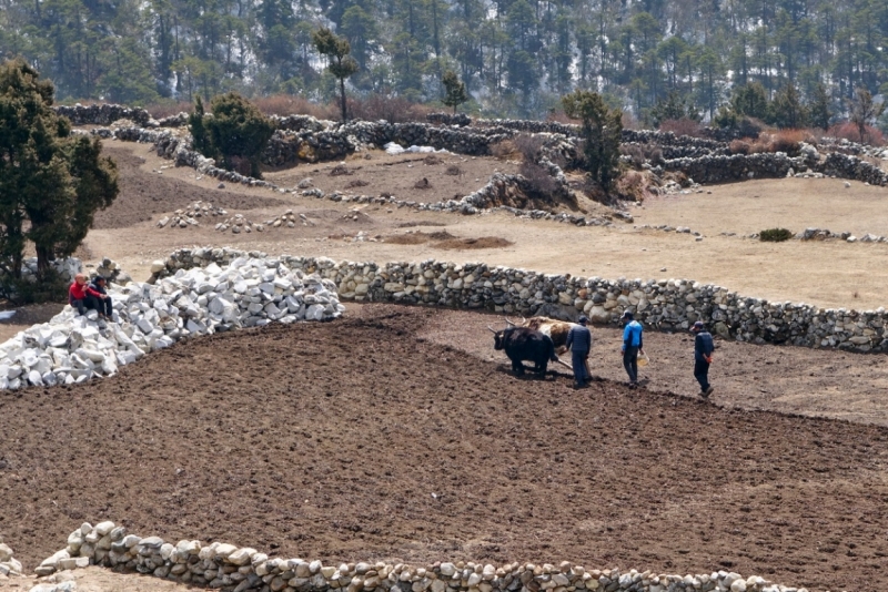 Авантюра новичка к Эвересту. 11-31 марта 2015