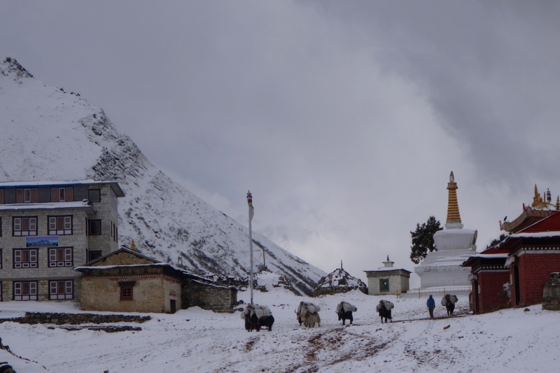 Авантюра новичка к Эвересту. 11-31 марта 2015