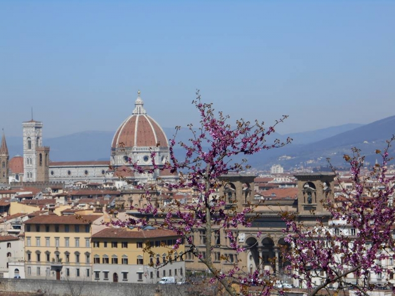 La mia vita. Римские записки, дневник онлайн