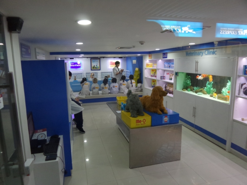 Цыганская семья. Или наша жизнь одновременно на два дома – в Хуа-Хине и на Самуи