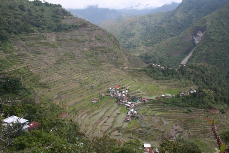 Филиппины (террасы, Майон, акулы, Бохоль, Боракай) Февраль 2015 (+ видео)