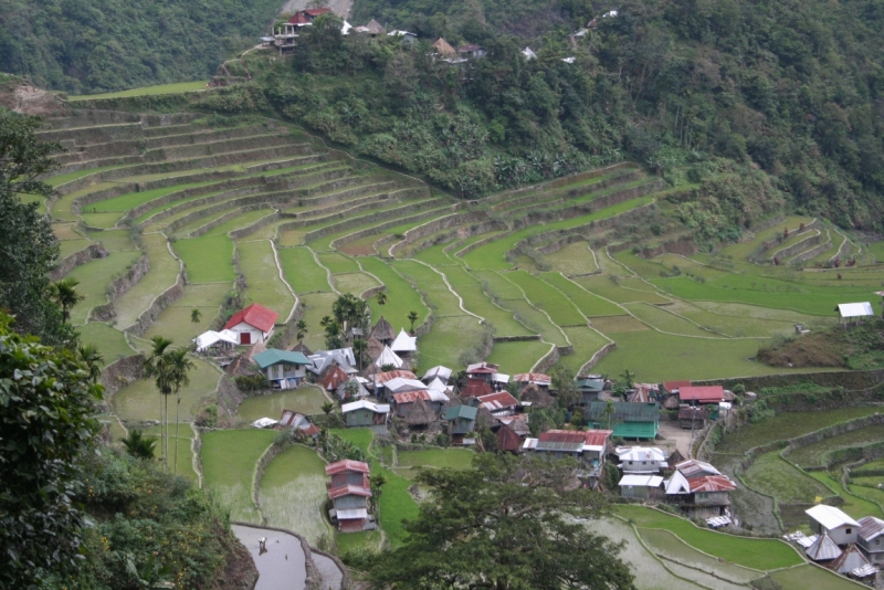 Филиппины (террасы, Майон, акулы, Бохоль, Боракай) Февраль 2015 (+ видео)