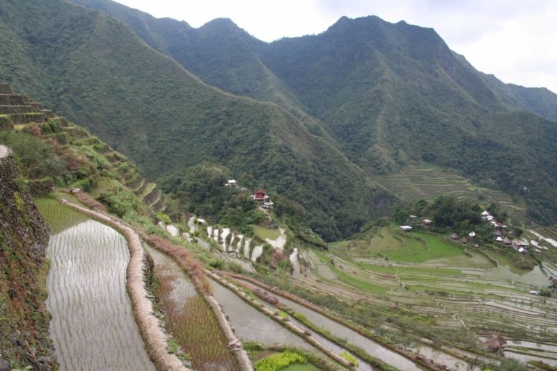 Филиппины (террасы, Майон, акулы, Бохоль, Боракай) Февраль 2015 (+ видео)