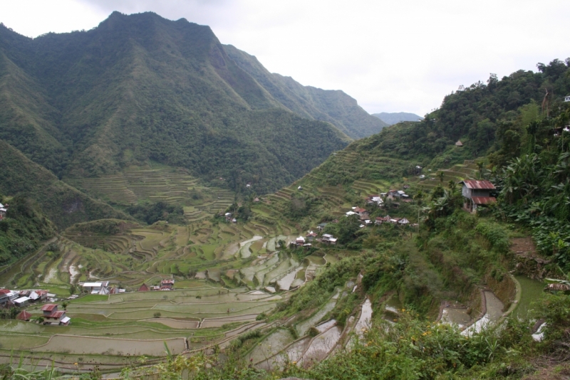 Филиппины (террасы, Майон, акулы, Бохоль, Боракай) Февраль 2015 (+ видео)