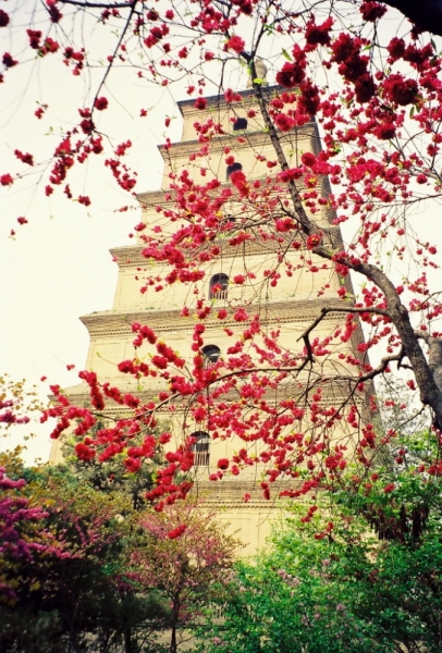 Храмы, церкви, соборы и разные святые места (фото)