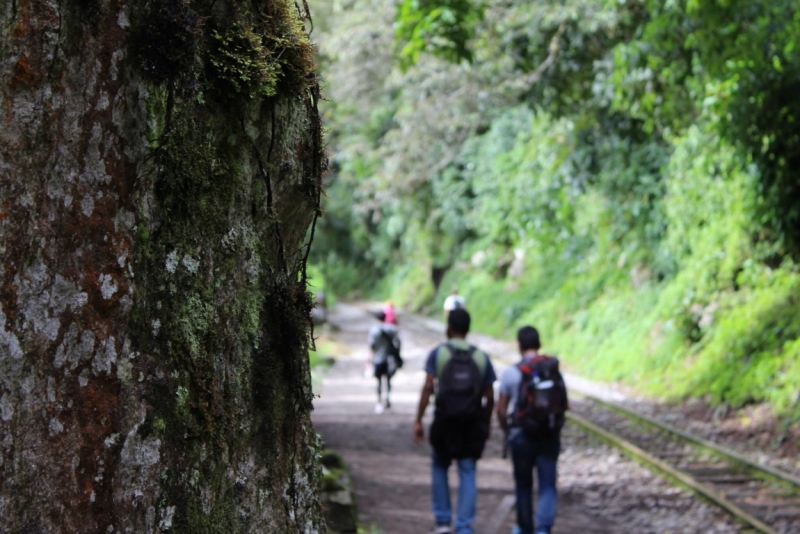 Мачу Пикчу и Каньон Колка. Видео + Фото