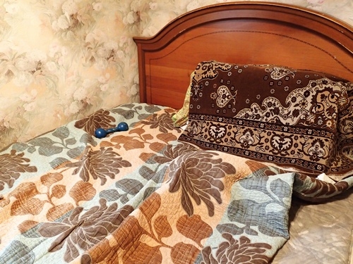 Поговорим о кошках32