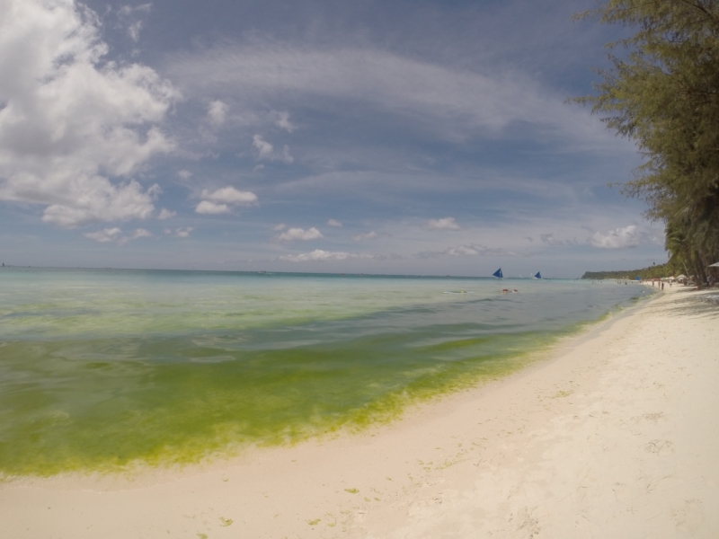 Движение к солнцу.