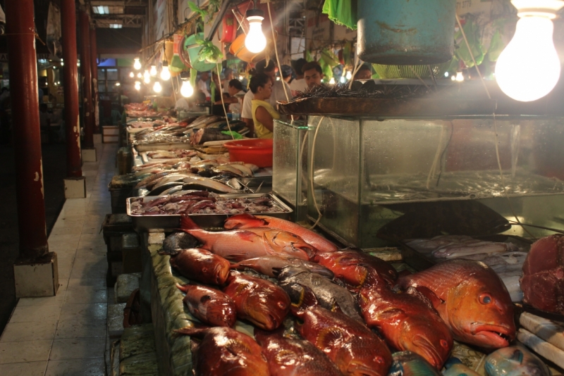 Движение к солнцу.