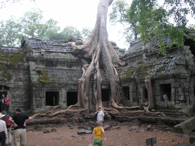 Храмы, церкви, соборы и разные святые места (фото)