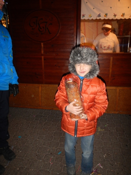Братислава, Новый 2015год в Будапеште, горные лыжи в Татрах и ... костяная нога...