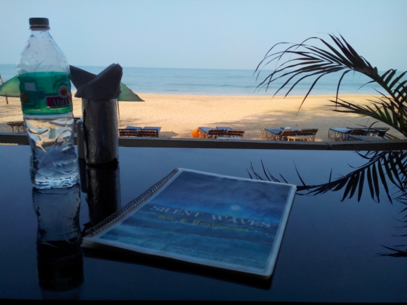 Пробная зимовка в Гоа 2014 .