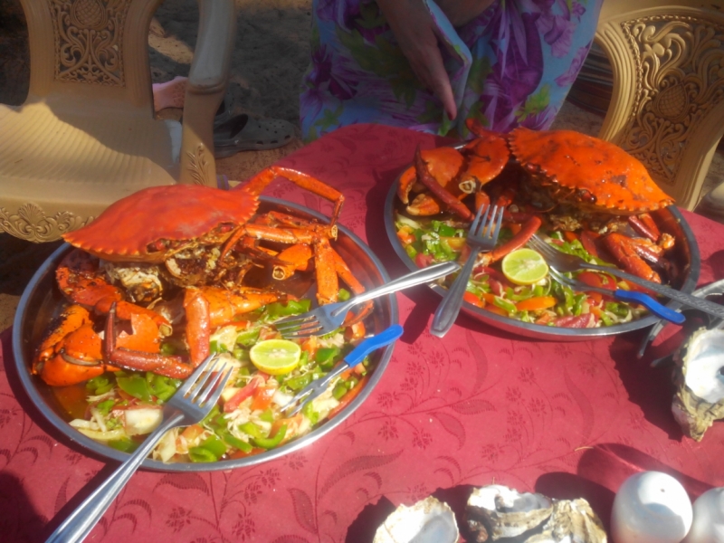 Пробная зимовка в Гоа 2014 .