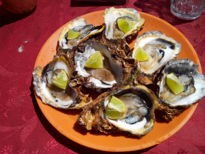 Пробная зимовка в Гоа 2014 .