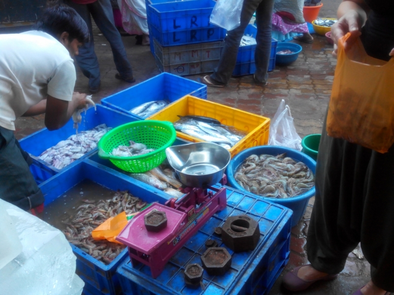 Пробная зимовка в Гоа 2014 .