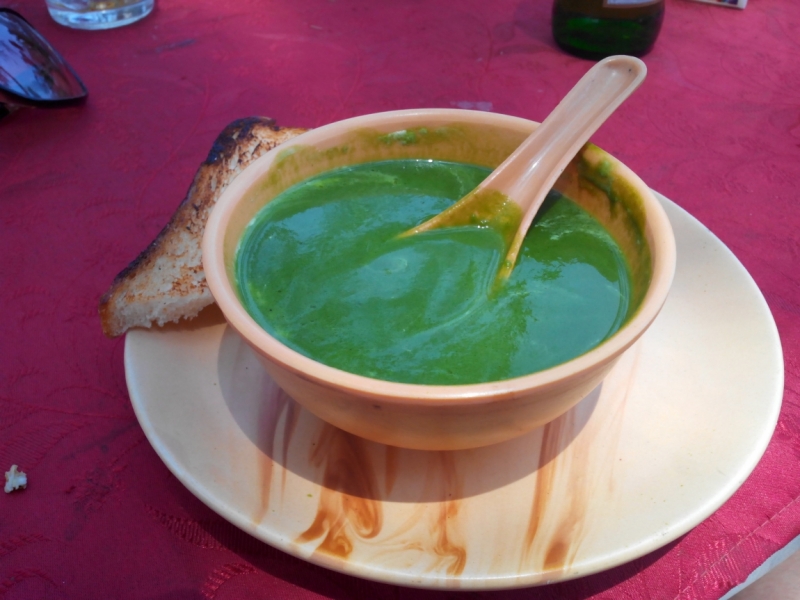 Пробная зимовка в Гоа 2014 .