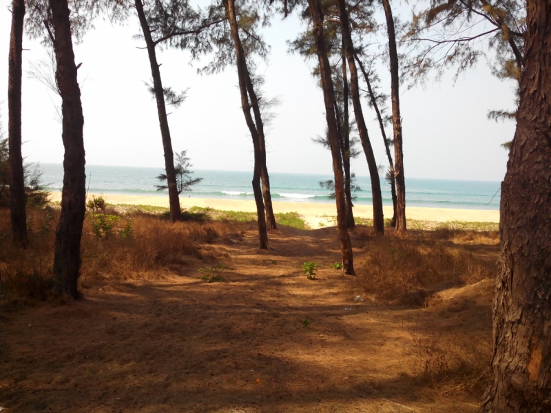 Пробная зимовка в Гоа 2014 .