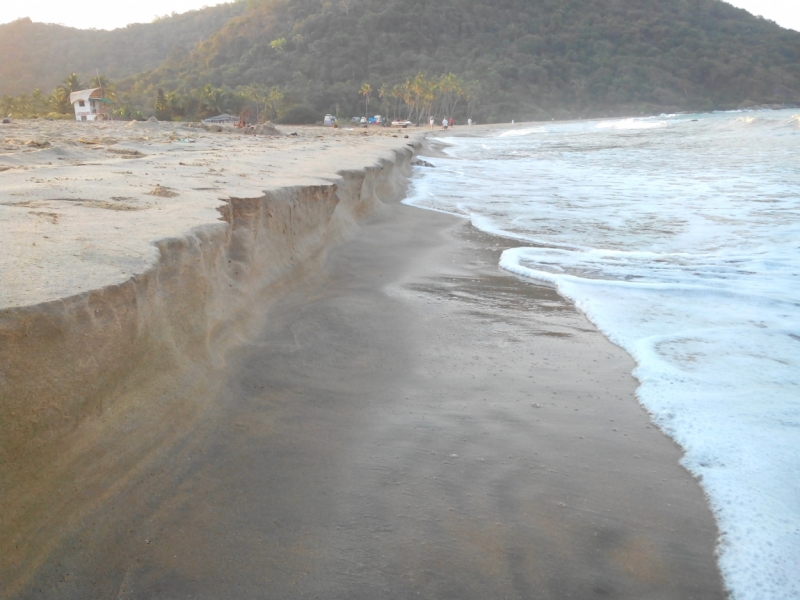 Пробная зимовка в Гоа 2014 .