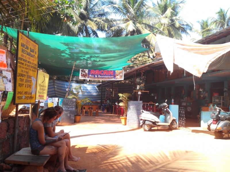 Пробная зимовка в Гоа 2014 .