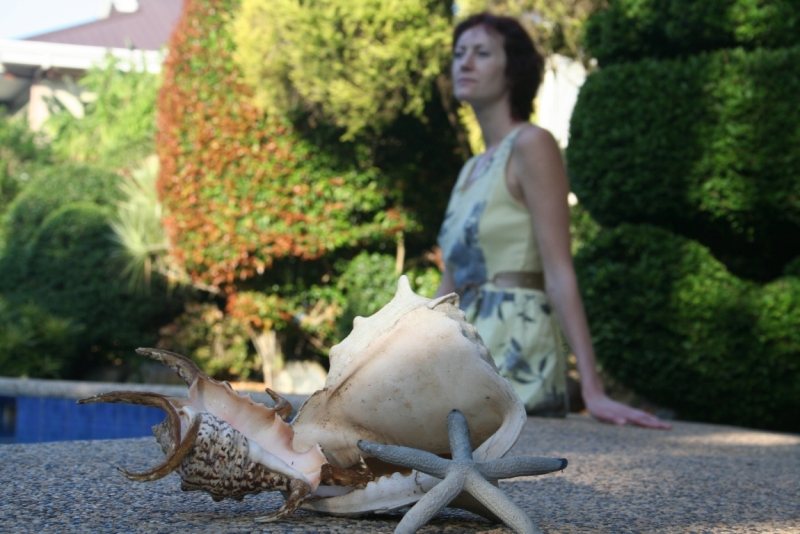 Филиппины (террасы, Майон, акулы, Бохоль, Боракай) Февраль 2015 (+ видео)