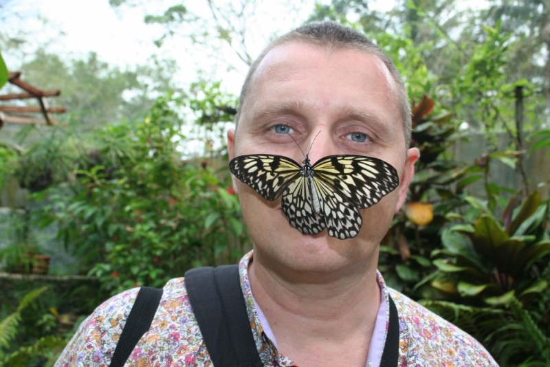 Филиппины (террасы, Майон, акулы, Бохоль, Боракай) Февраль 2015 (+ видео)