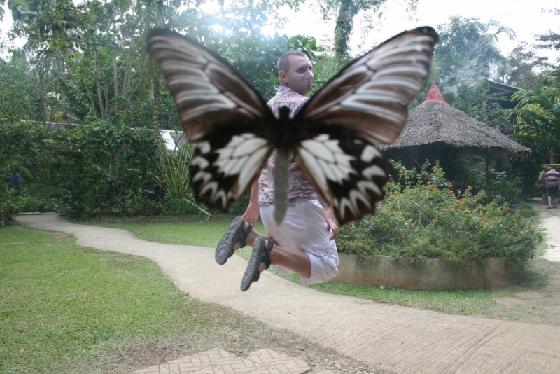 Филиппины (террасы, Майон, акулы, Бохоль, Боракай) Февраль 2015 (+ видео)