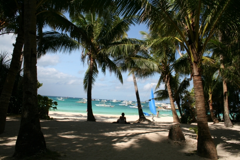 Филиппины (террасы, Майон, акулы, Бохоль, Боракай) Февраль 2015 (+ видео)