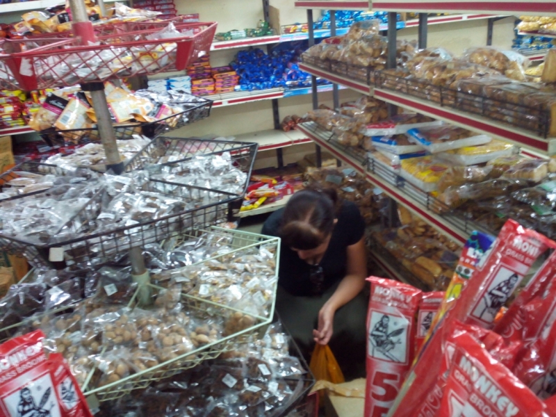 Пробная зимовка в Гоа 2014 .