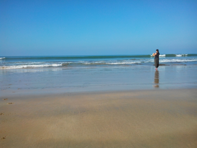 Пробная зимовка в Гоа 2014 .