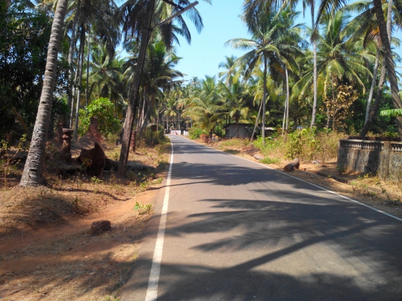 Пробная зимовка в Гоа 2014 .