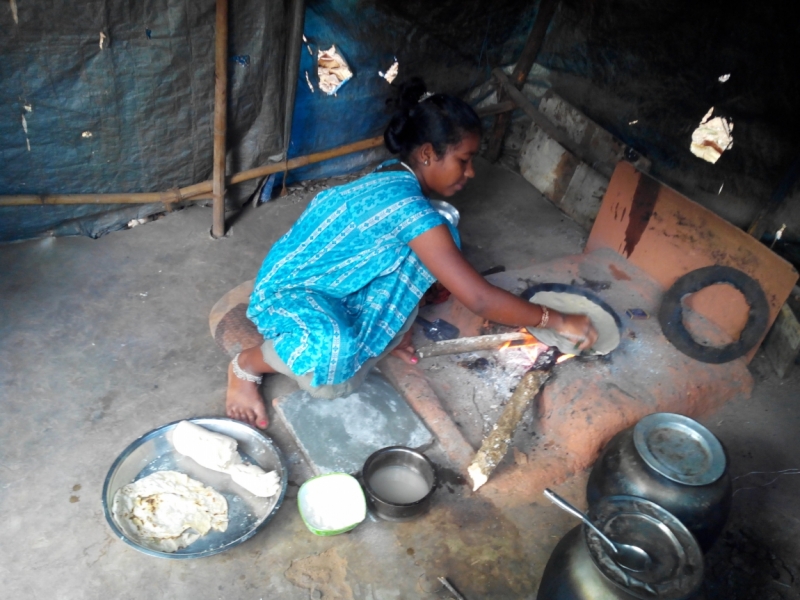 Пробная зимовка в Гоа 2014 .