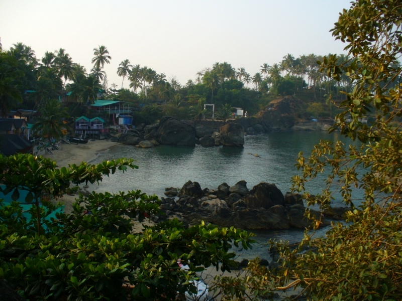 Пробная зимовка в Гоа 2014 .