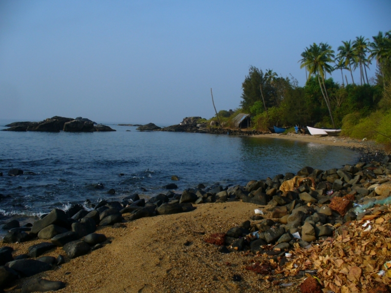 Пробная зимовка в Гоа 2014 .