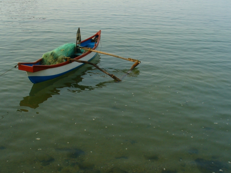 Пробная зимовка в Гоа 2014 .
