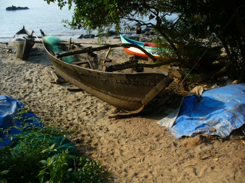 Пробная зимовка в Гоа 2014 .