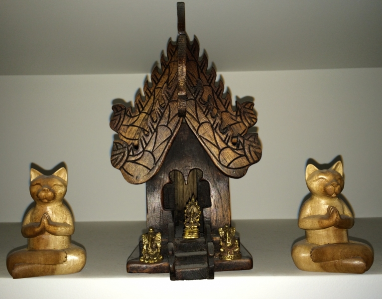 Поговорим о кошках33