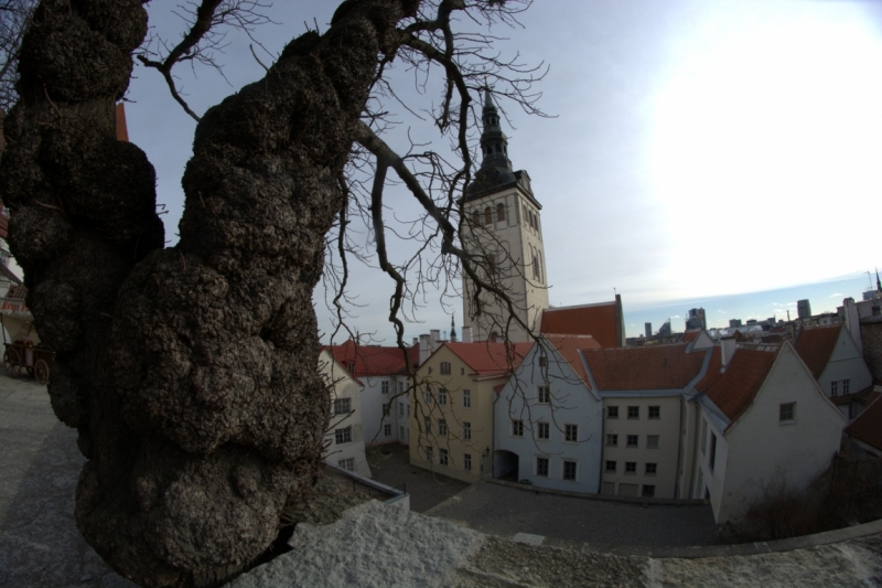 Весна 2015. Четыре Балтийские столицы: Таллин, Стокгольм, Рига и Вильнюс