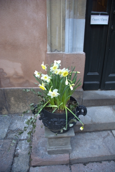 Весна 2015. Четыре Балтийские столицы: Таллин, Стокгольм, Рига и Вильнюс