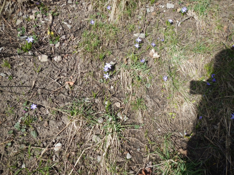 Весна 2015. Четыре Балтийские столицы: Таллин, Стокгольм, Рига и Вильнюс