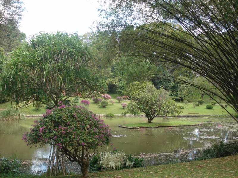 Шри Ланка 55+