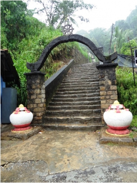 Шри Ланка 55+