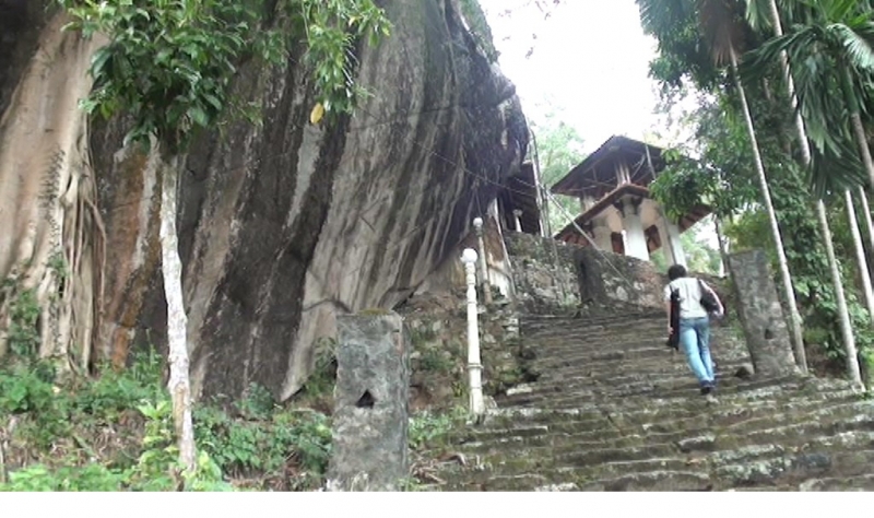 Шри Ланка 55+