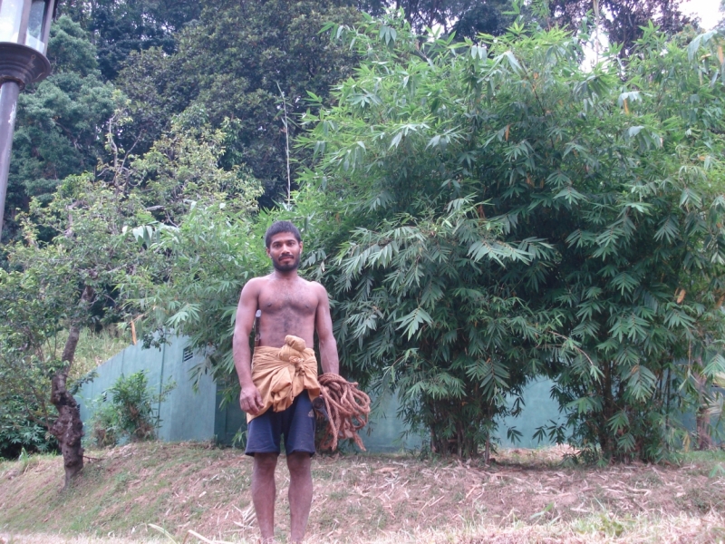 Шри Ланка 55+