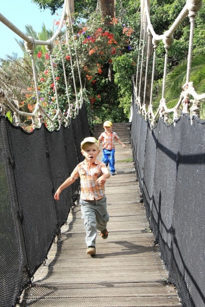Пять недель на Тенерифе с детьми (фотоотчет)