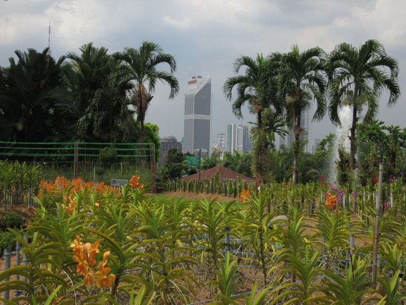 Малайзия 2013 - Борнео, Куала-Лумпур, Перхентианы - маршрут на месяц