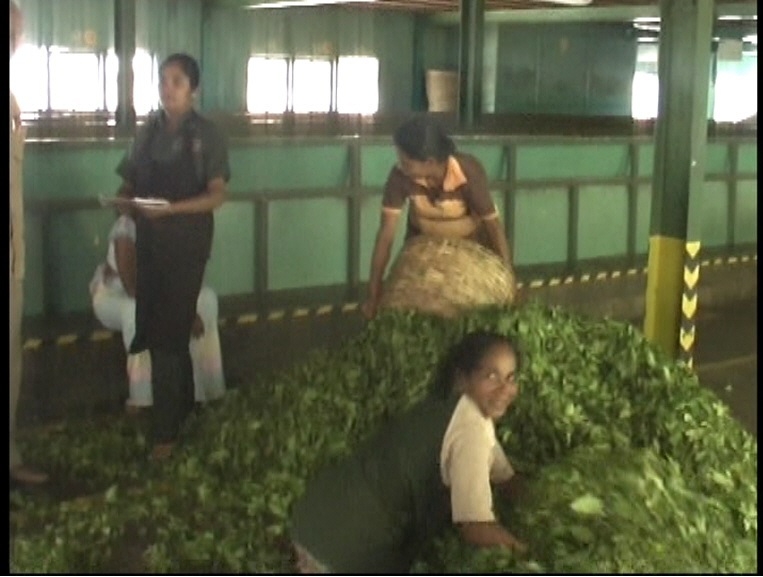 Шри Ланка 55+