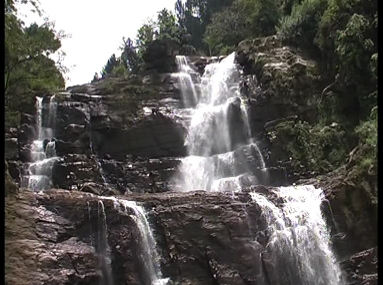 Шри Ланка 55+