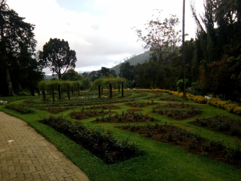 Шри Ланка 55+