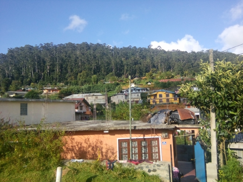 Шри Ланка 55+