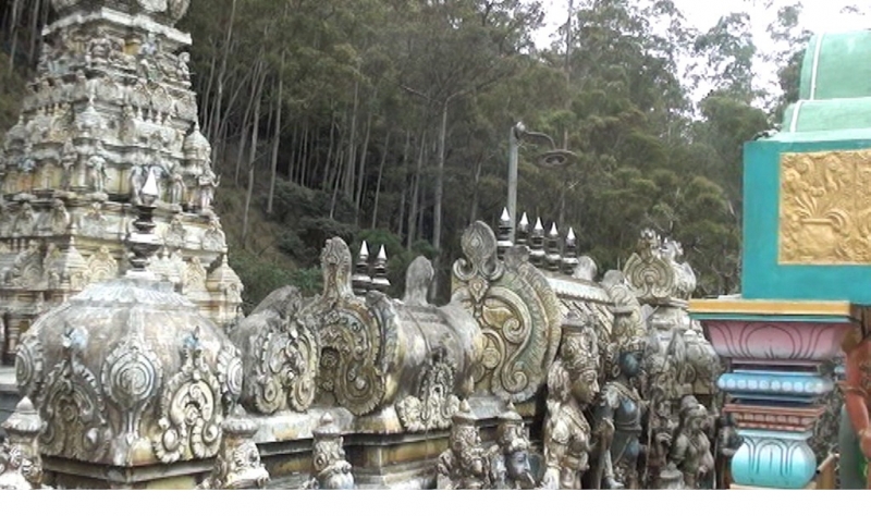 Шри Ланка 55+